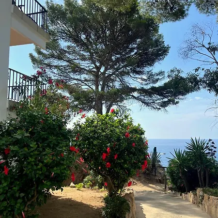 Les Terrasses De Cala Llevado 아파트